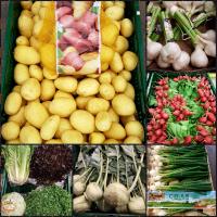 Domestic harvest already started Domestic harvest already started