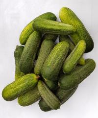 cucumbers (pickled) on stock