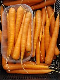 Domestic early carrots on sale