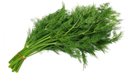 dill