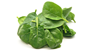 spinach